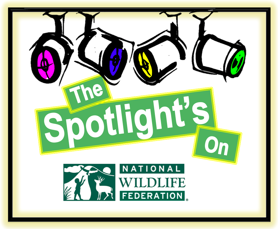 client spotlight NWF