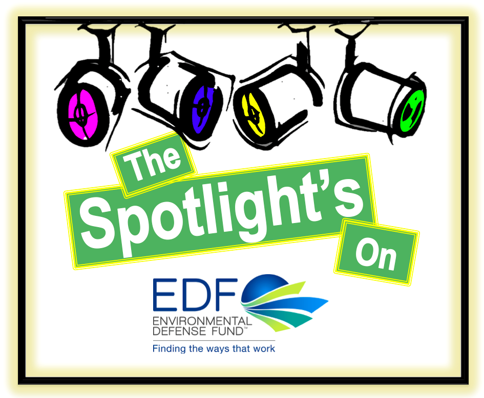 EDF Image
