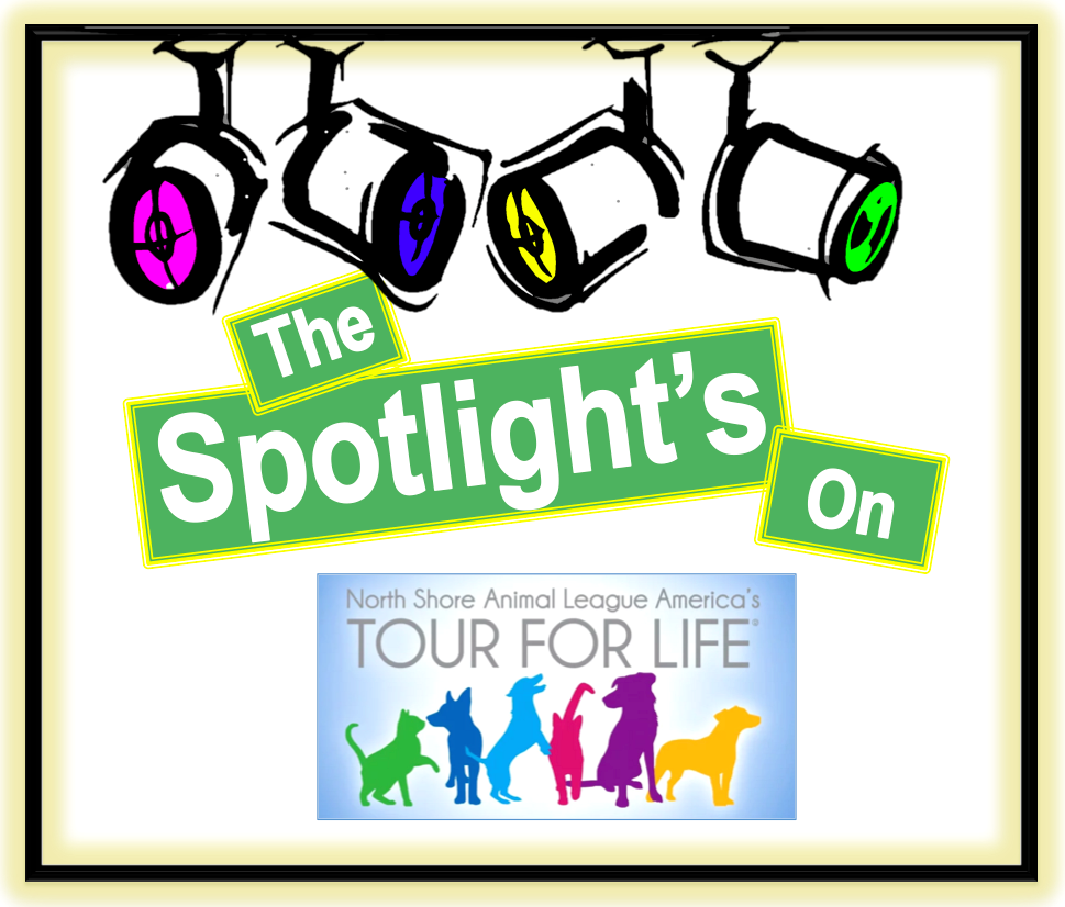 Client spotlight NSAL