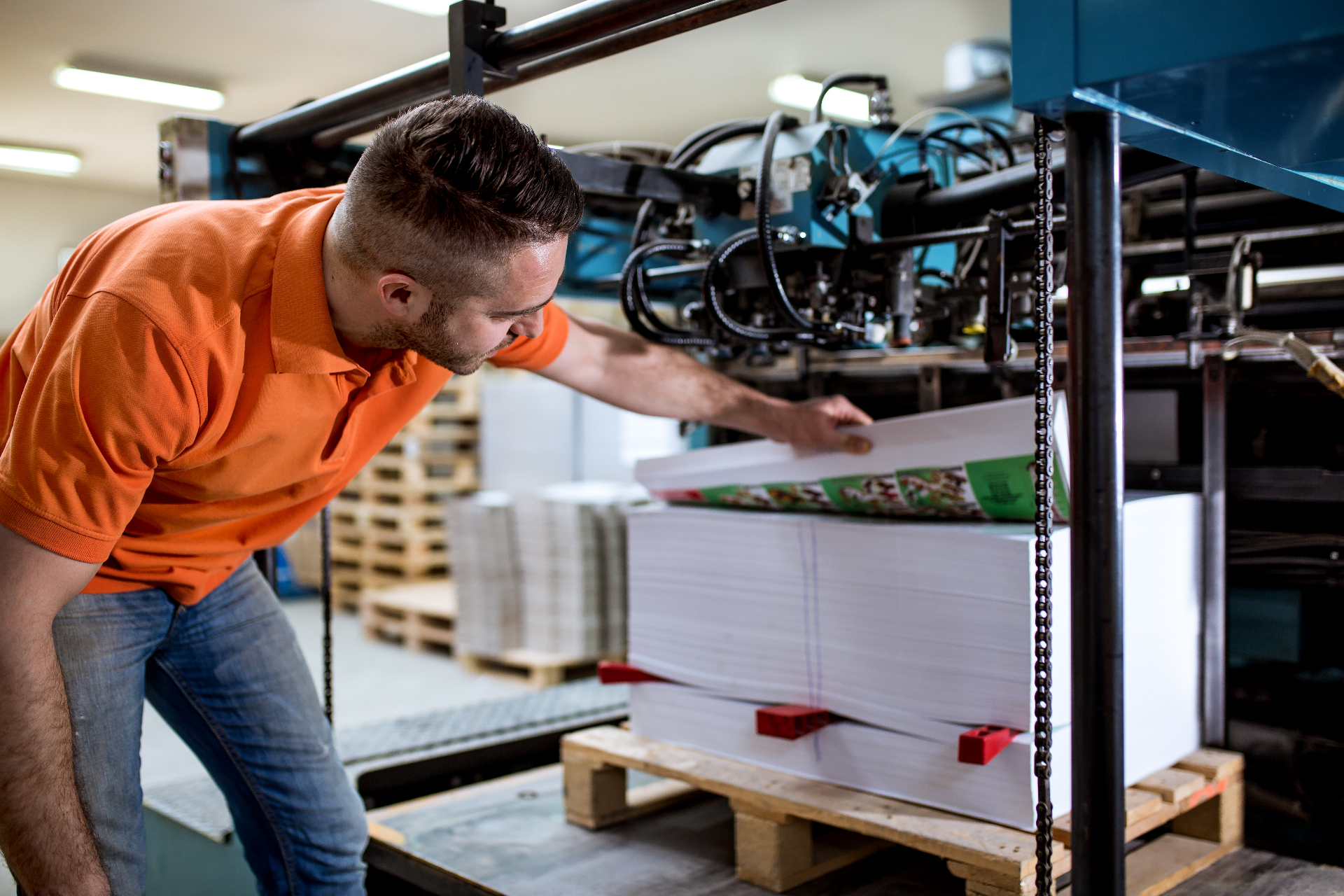 Production operator inspecting freshly printed sheets stacked on the pallet